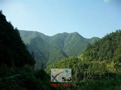 t01b061a3987204724e.jpg