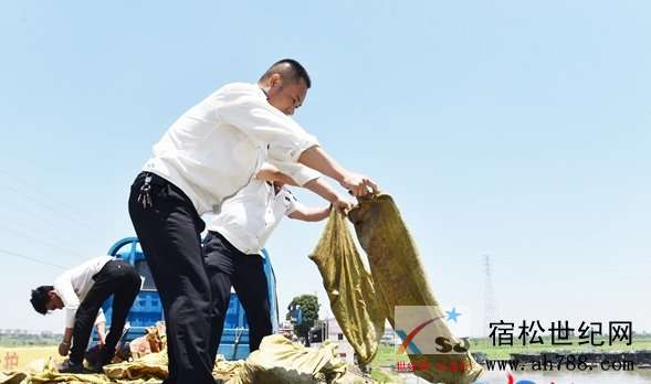 微信图片_20190524102927.jpg