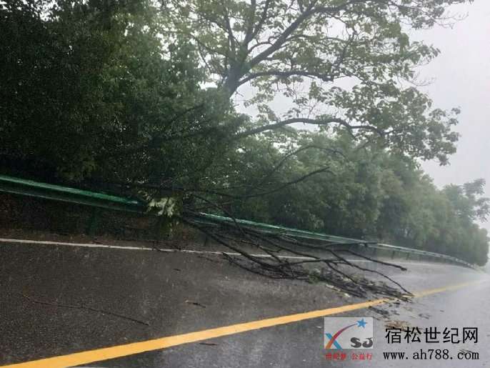 微信图片_20190528151637.jpg