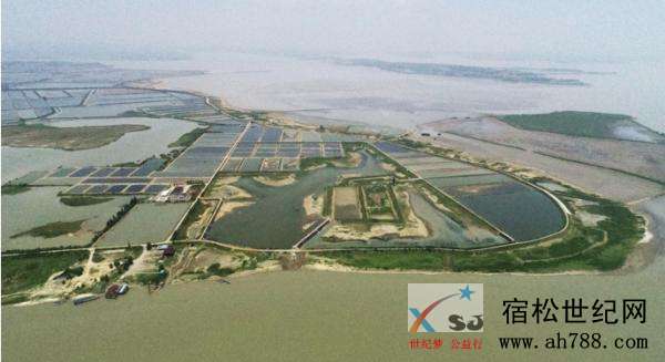 宿松｜水岸共治 护航生态家园.jpg