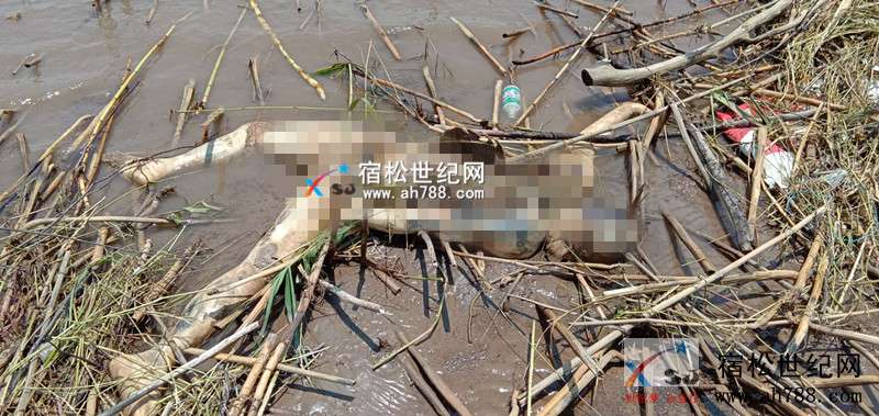 微信图片_20190606132700_副本.jpg