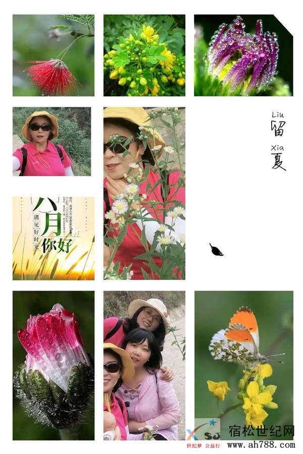 cc55eefcb443a6f3d1e64dbdc755dee.jpg