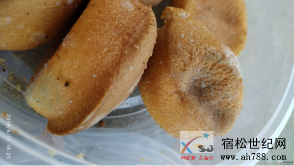 QQ截图20190612102838.png