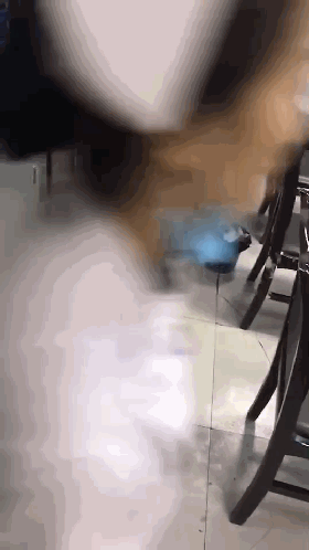 微信图片_20190618075602.gif