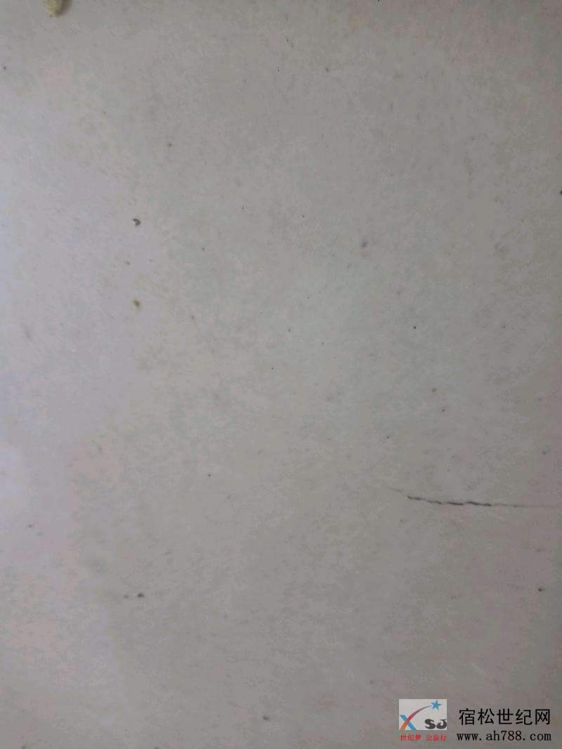 v2QlKlqNRY7k.jpg