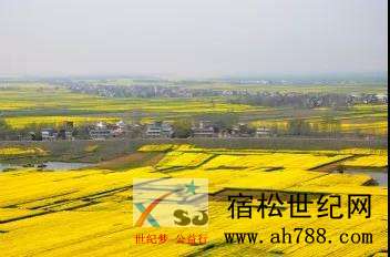 微信图片_20190708081704.jpg