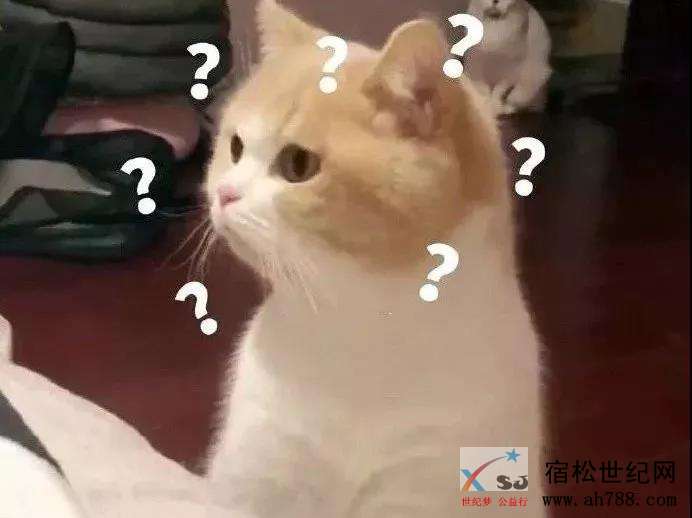 微信图片_20190710080819.jpg