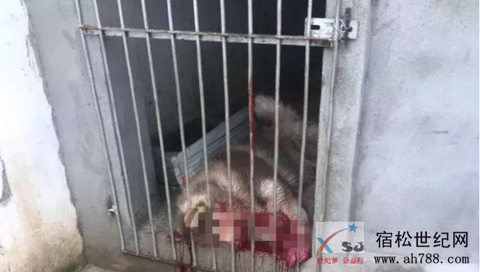 QQ截图20190710083537_副本.jpg