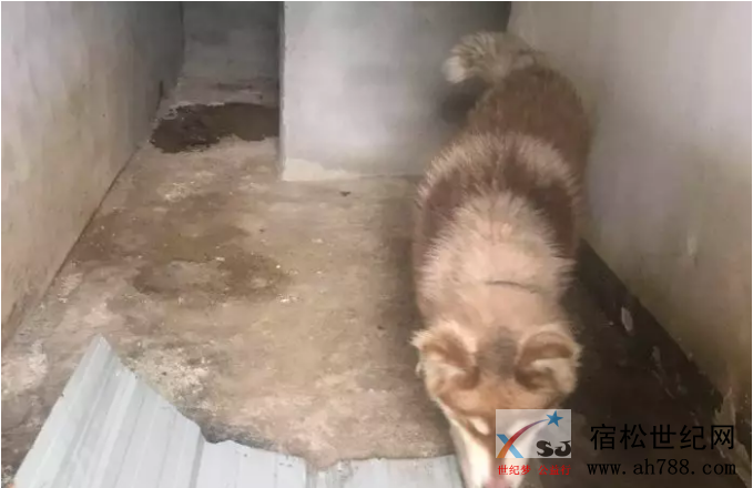 QQ截图20190710083514.png
