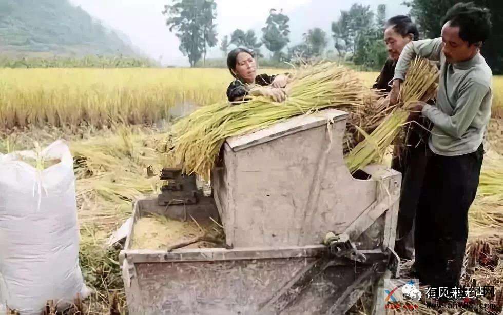 微信图片_20190714182004.jpg