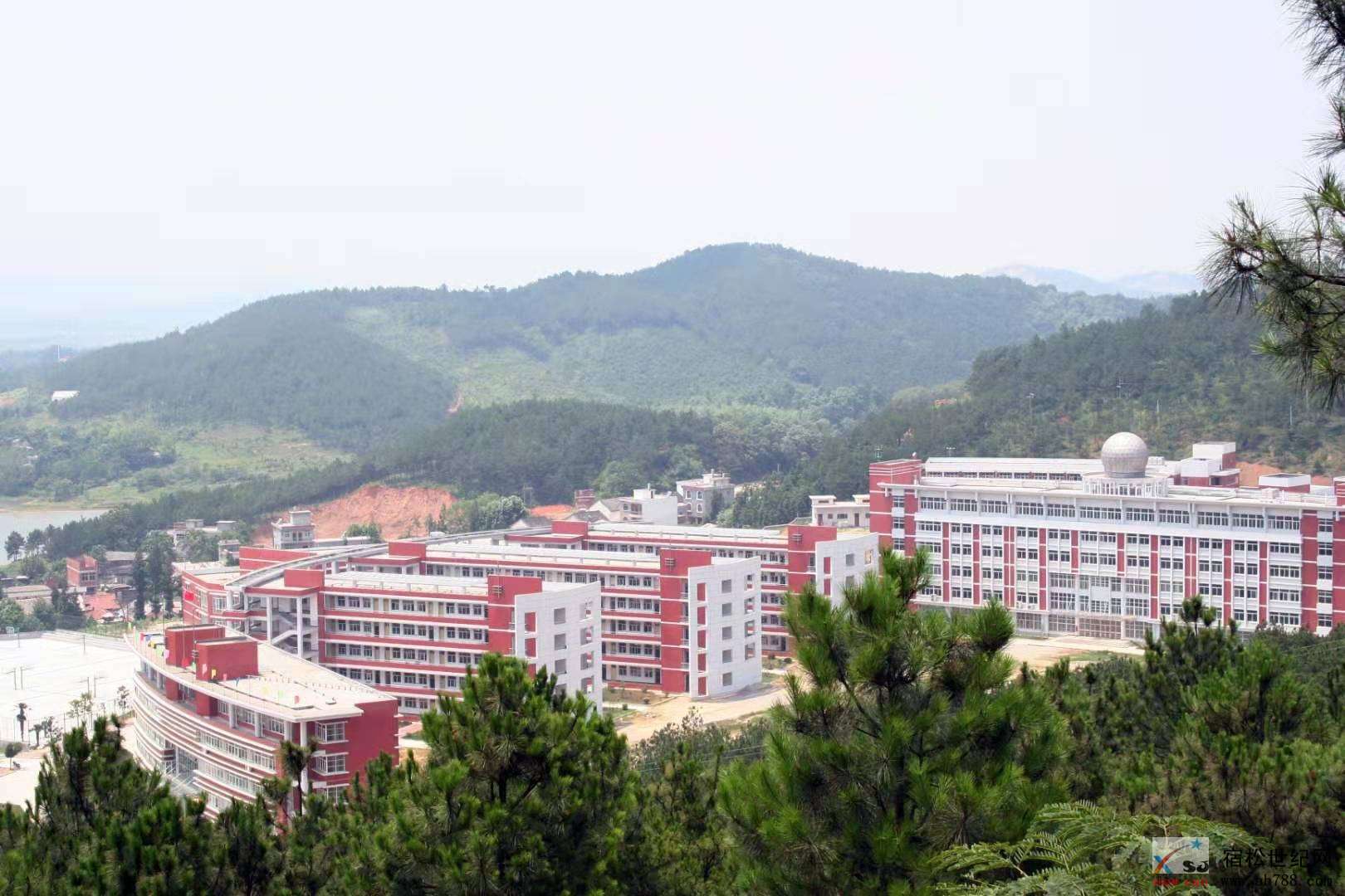 微信图片_20190716110433.jpg