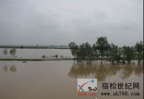 QQ截图20190717083339.png