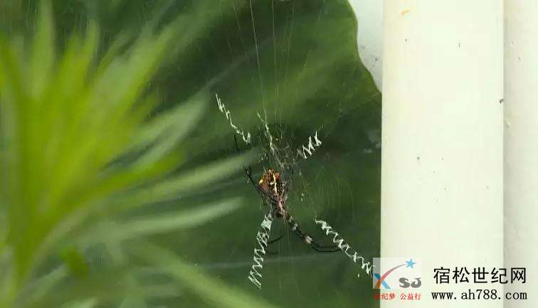 微信图片_20190723093242.jpg