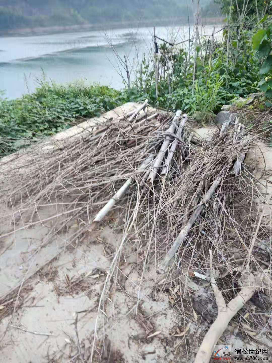 微信图片_20190725161509.jpg