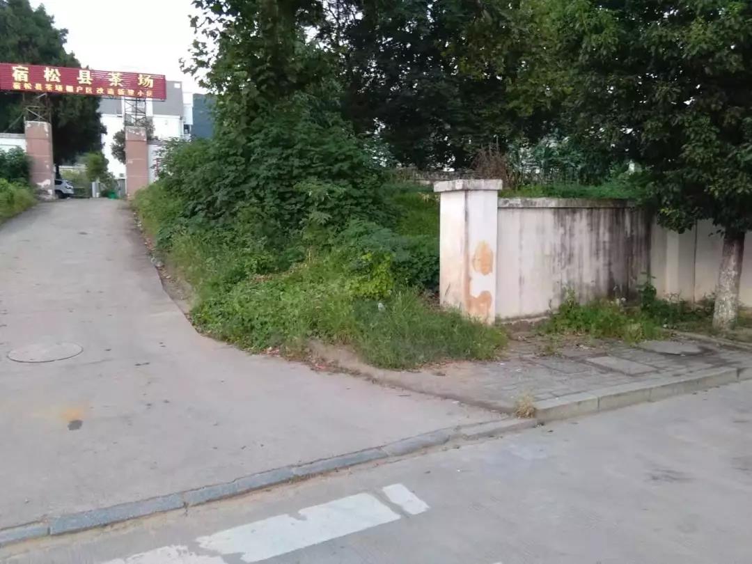000111.jpg