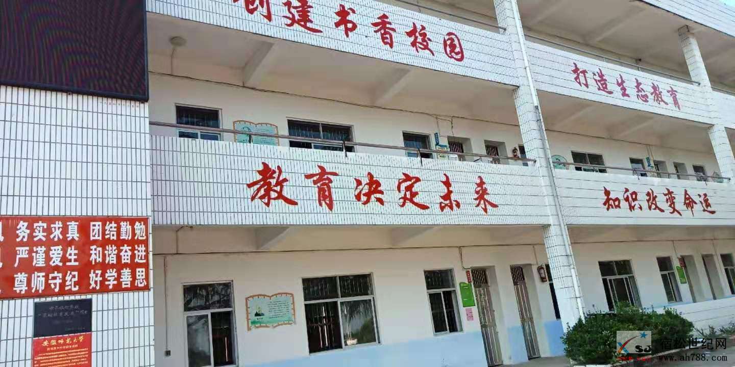 花中22222.jpg