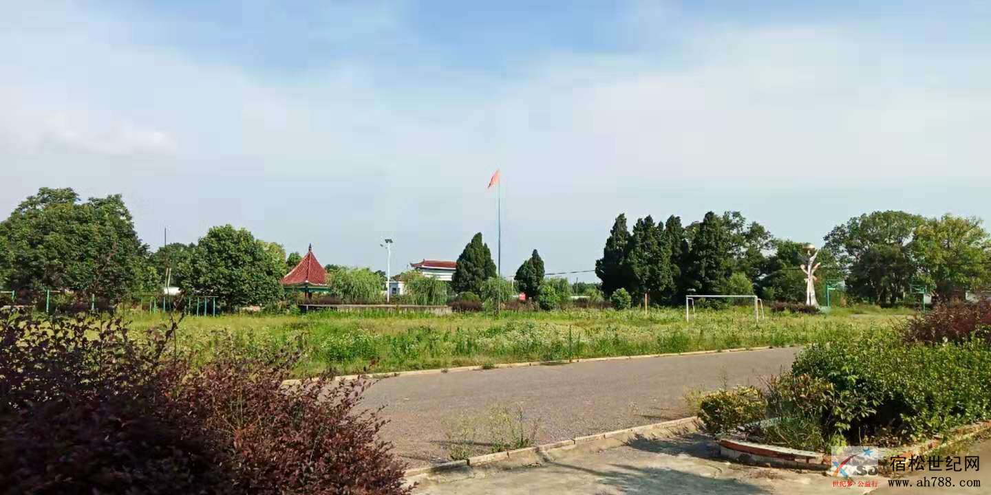 花中111.jpg