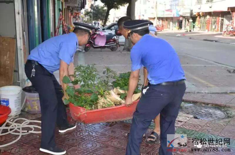 城管44444.jpg