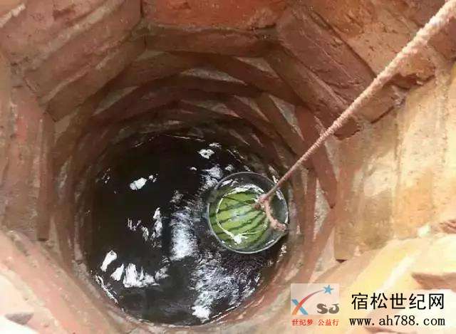 夏天2222.jpg