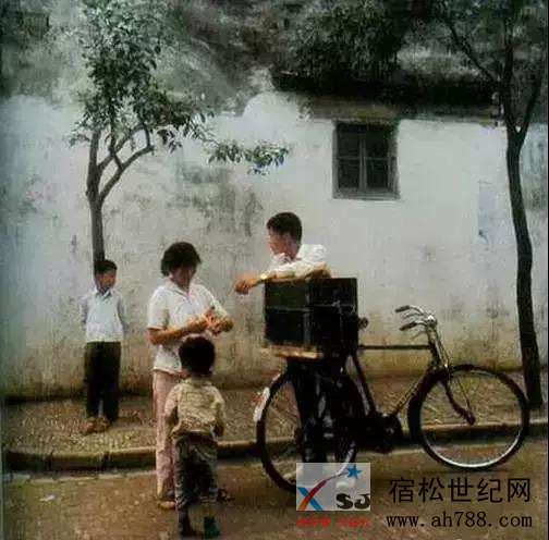 夏天3333.jpg