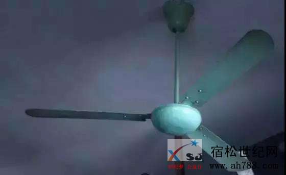 夏天000022222.jpg