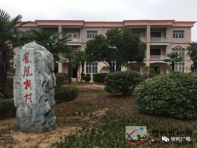 洲头22222.jpg