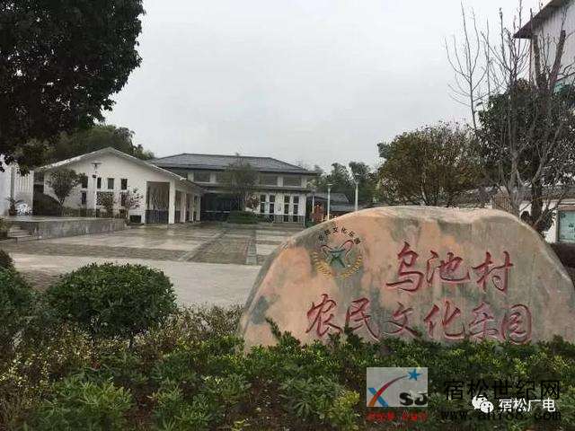 洲头33333.jpg