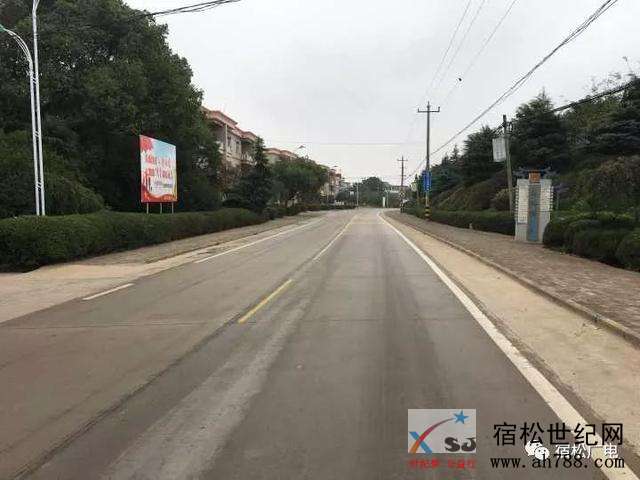 洲头4444.jpg