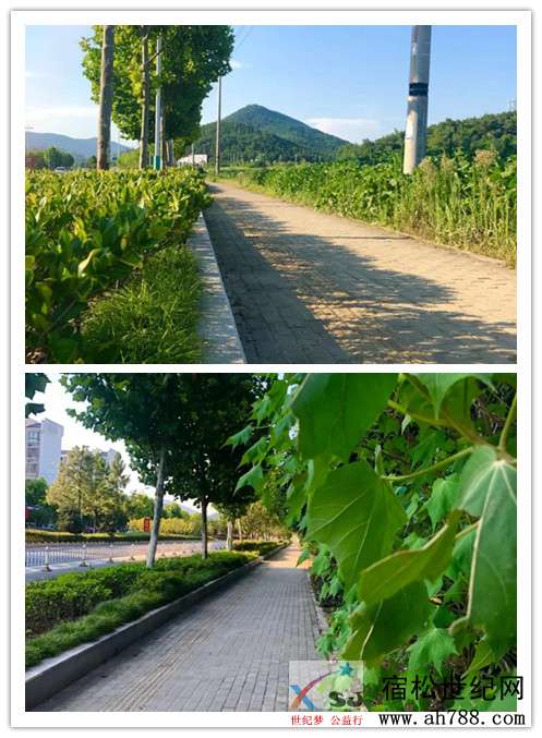 体育馆副本1111.jpg