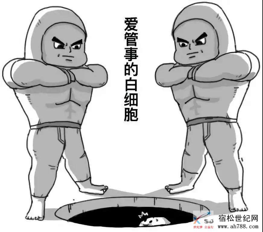微信图片_20190902155115.jpg