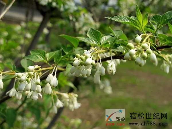 640.webp (13).jpg