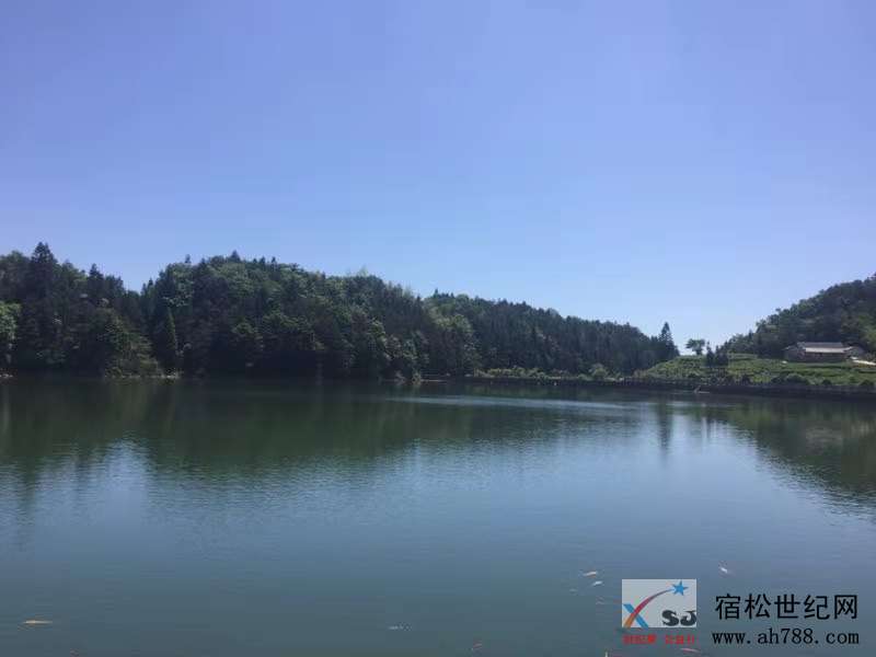 微信图片_20190908081538.jpg