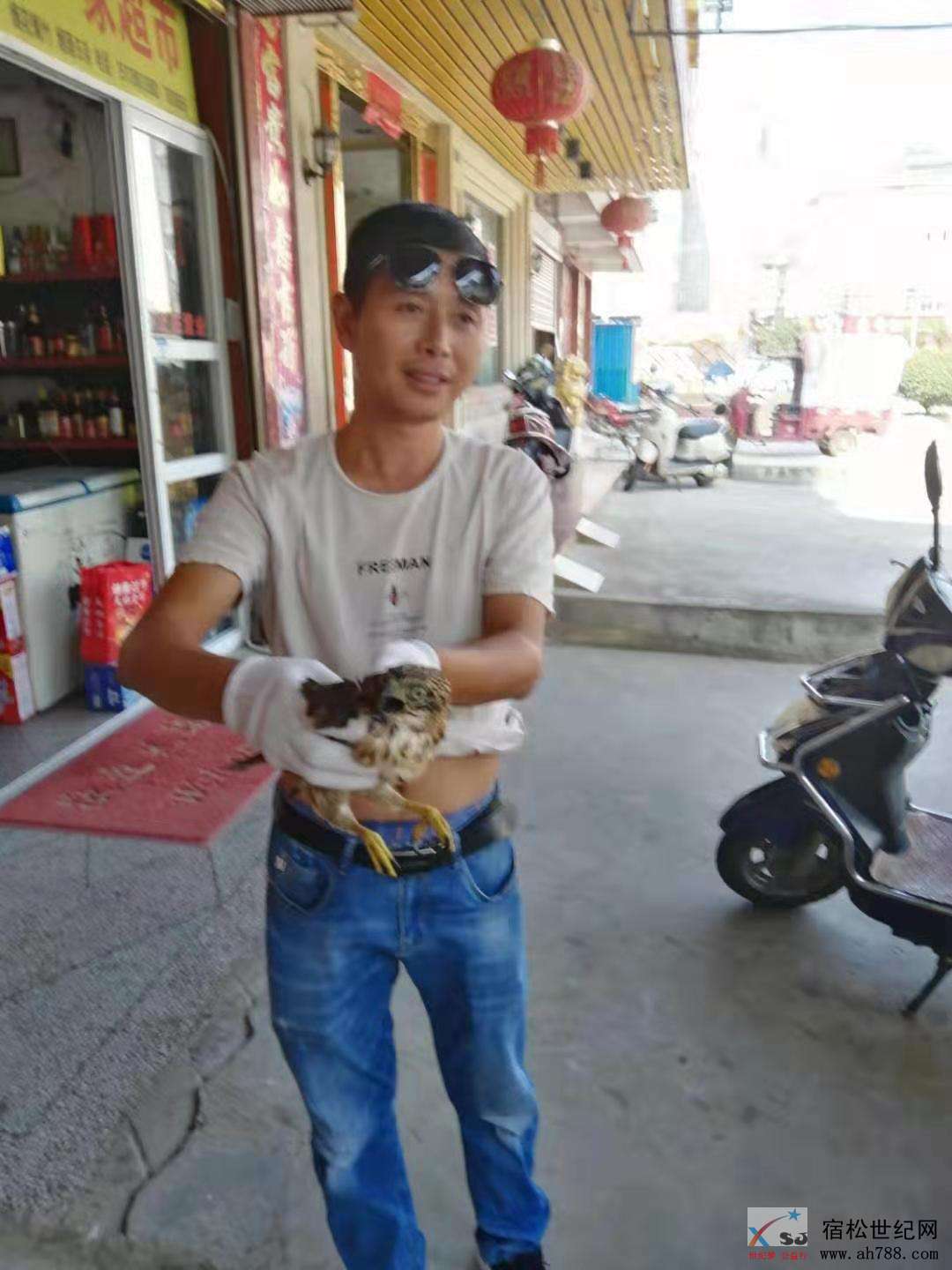 39.jpg