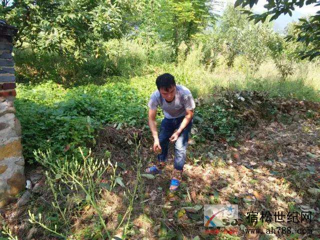 微信图片_20190914153301.jpg
