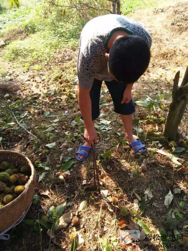 微信图片_20190914153308.jpg