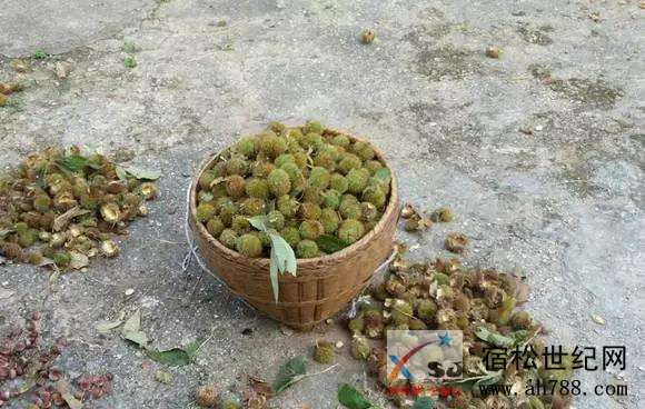 微信图片_20190914153328.jpg