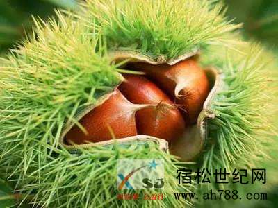 微信图片_20190914153322.jpg