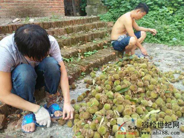 微信图片_20190914153317.jpg