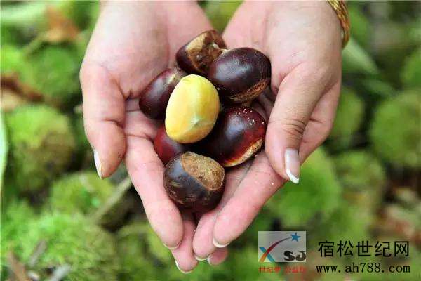 微信图片_20190914153319.jpg