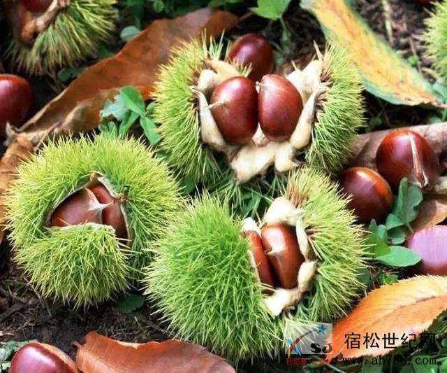 微信图片_20190914153335.jpg