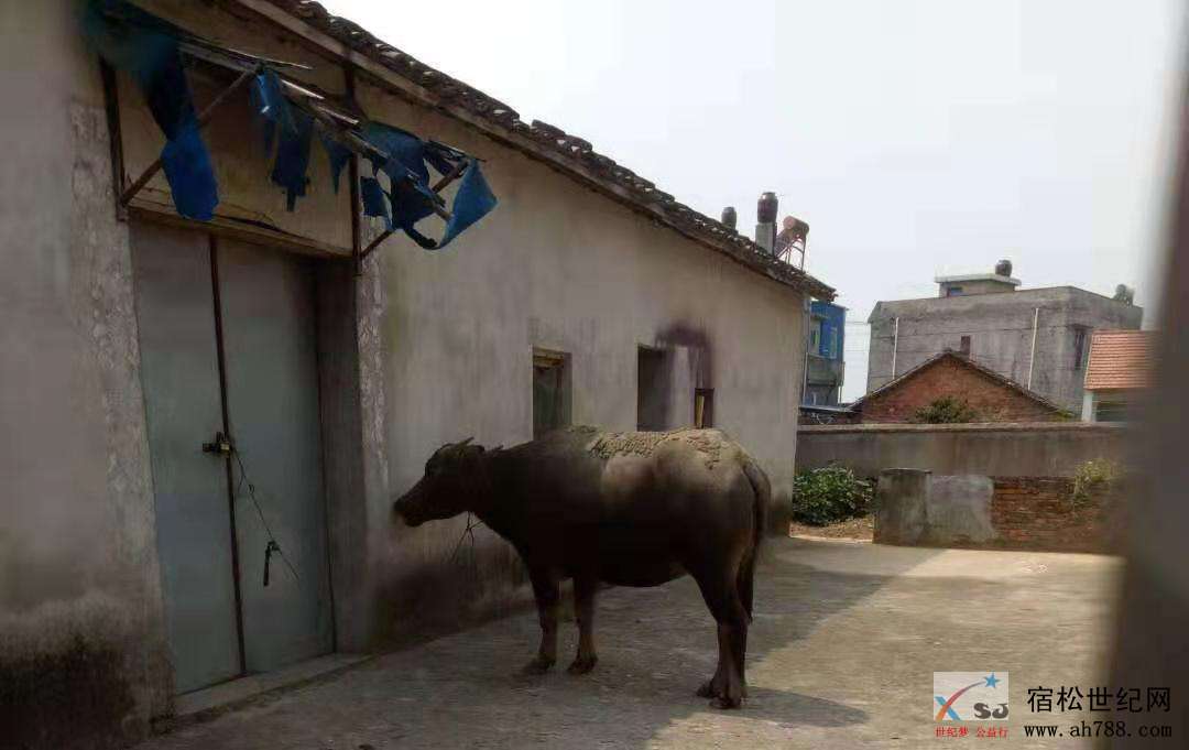 微信图片_20190915155941.jpg