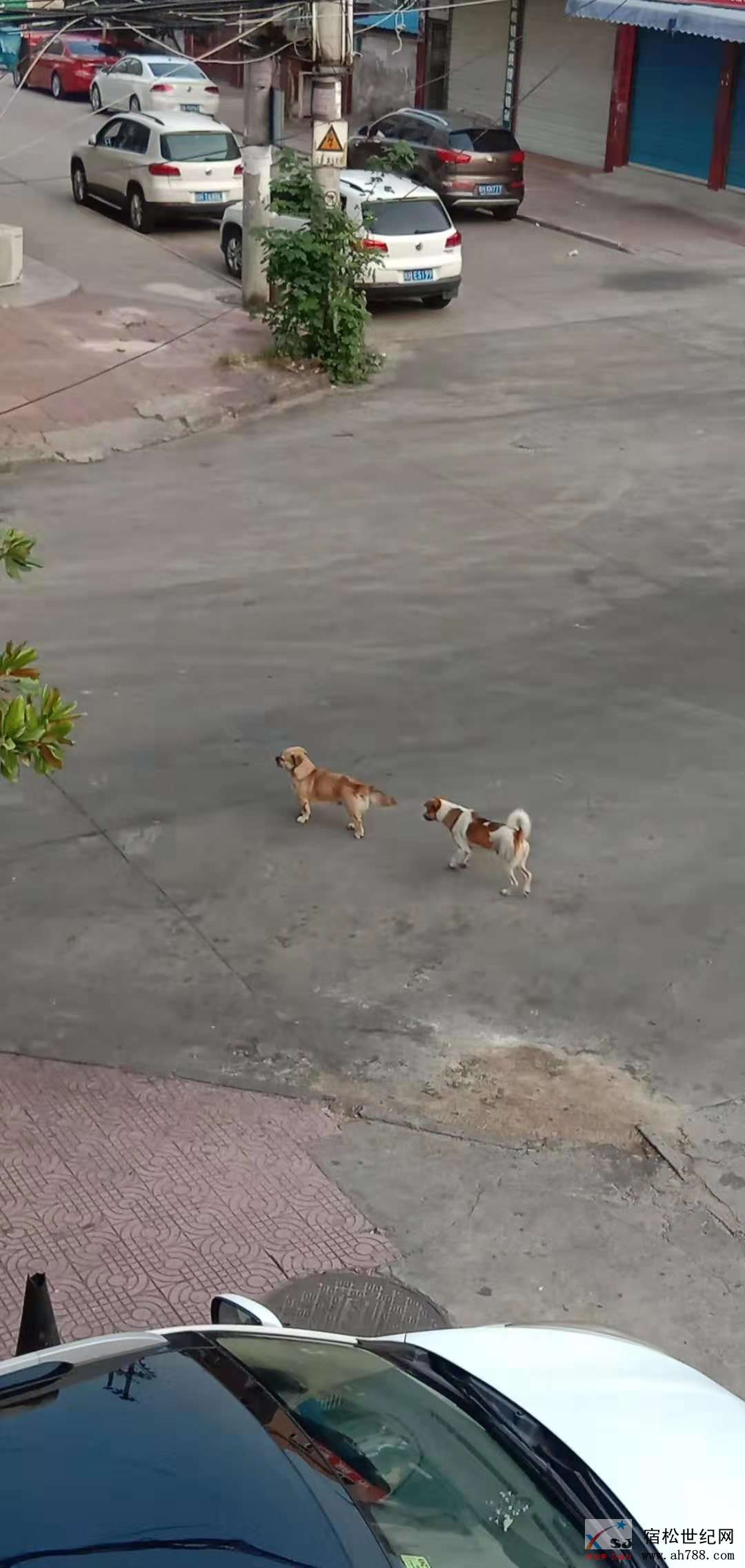 微信图片_20190916111848.jpg