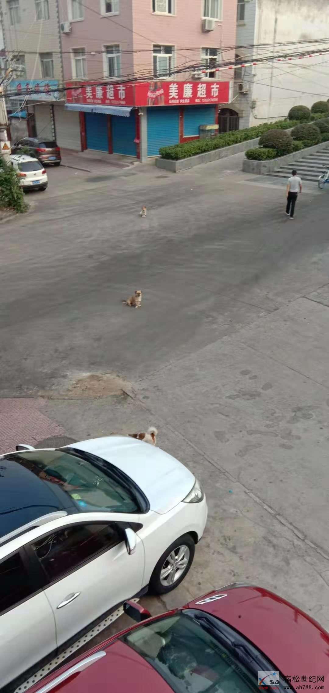 微信图片_20190916111852.jpg