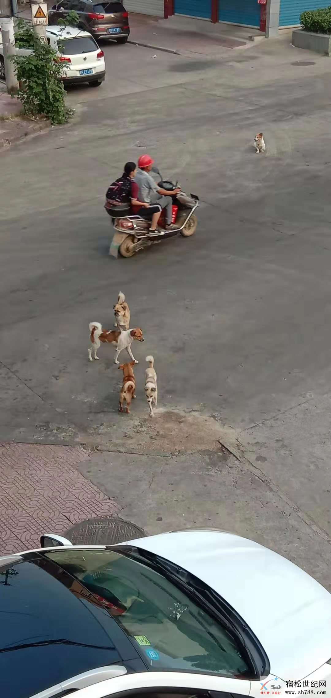 微信图片_20190916111844.jpg