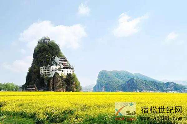 微信图片_20190925092907.jpg