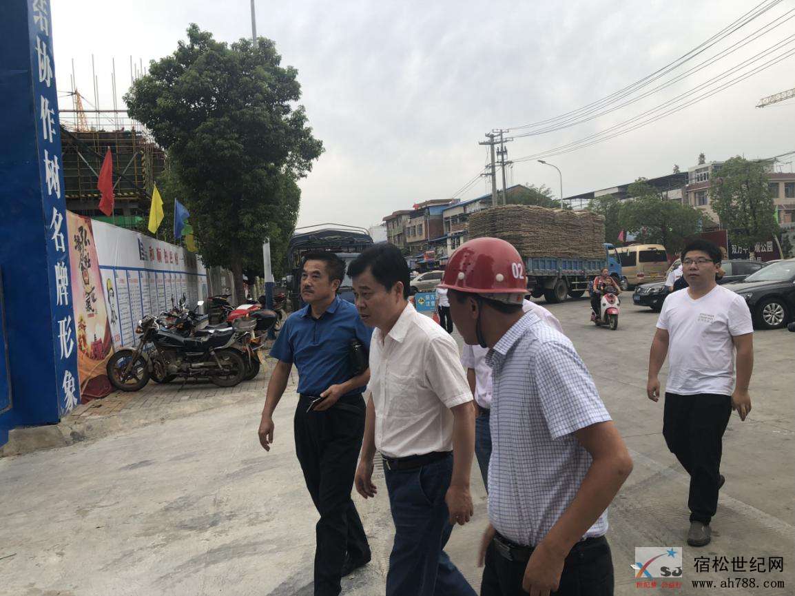 松滋府项目检查1.jpg