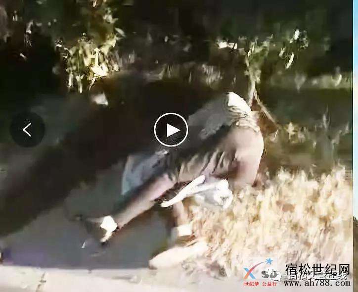 微信图片_20191007180248.jpg