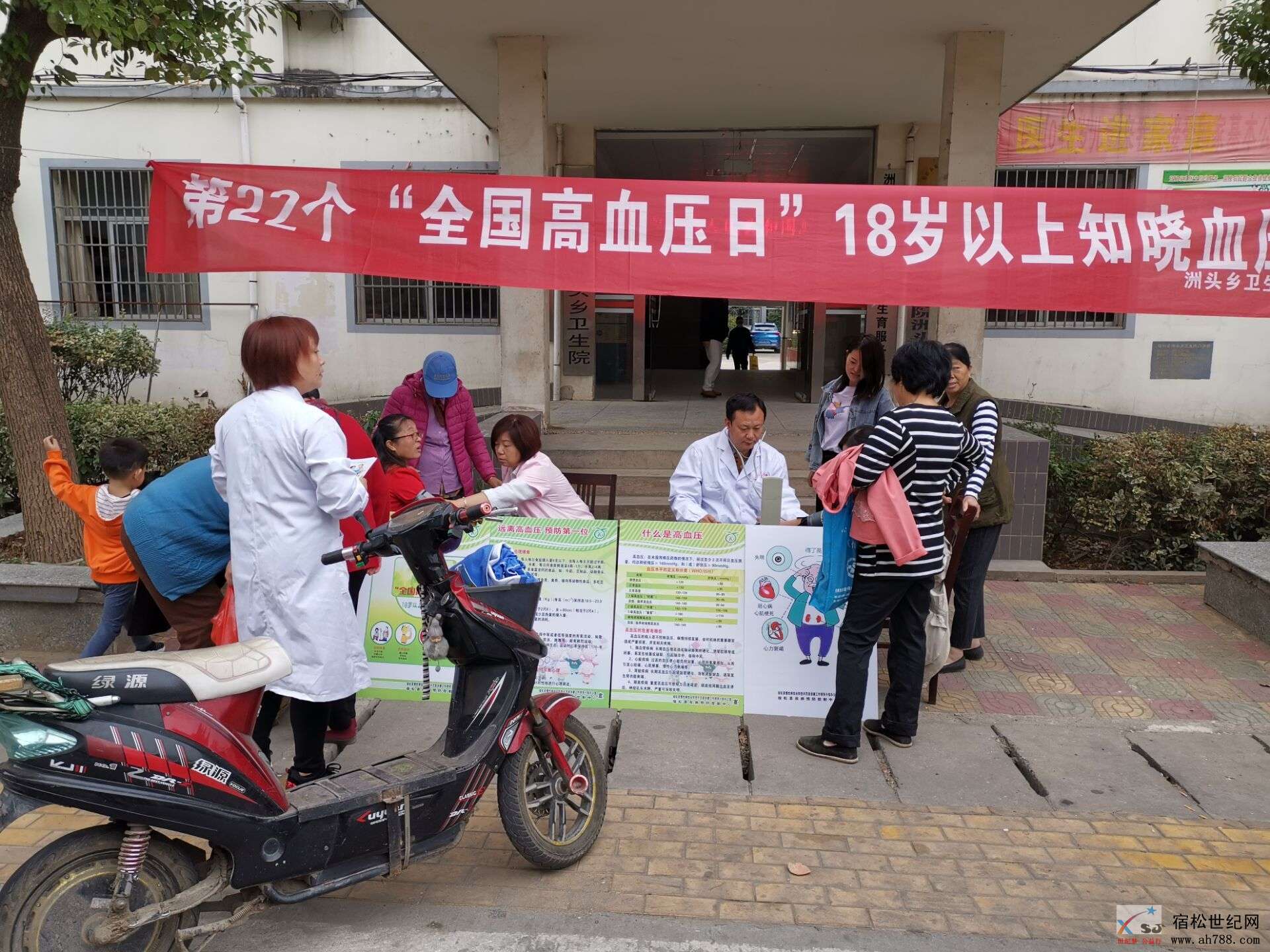洲头 (2).jpg