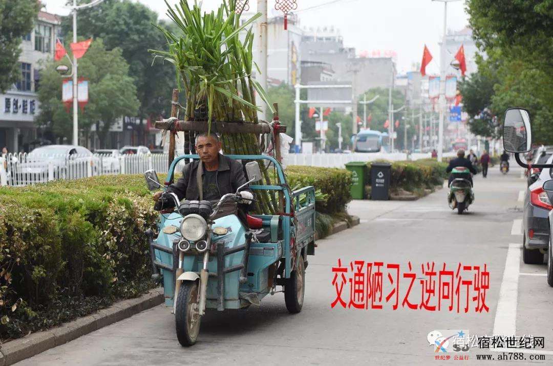 微信图片_20191013083110.jpg