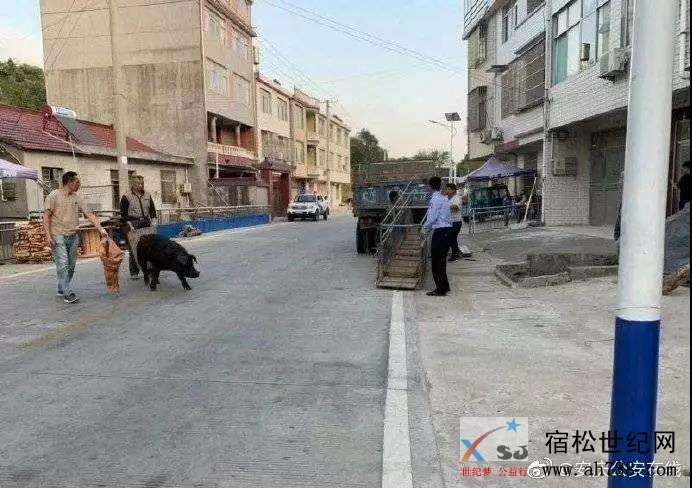 微信图片_20191017141857.jpg